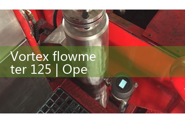 Vortex flowmeter 125